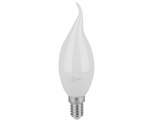 Лампа светодиодная Эра Green Line E14 10Вт 6500K LED BXS-10W-865-E14 GL