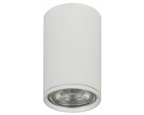 Накладной светильник Escada 20001 20001SMU/01 SWH