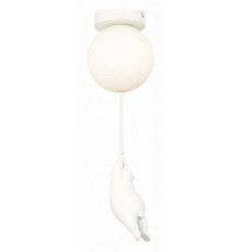 Накладной светильник EVOLUCE Modena SLE115402-01