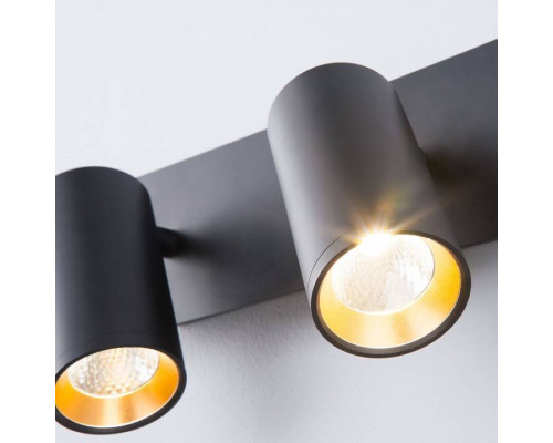 Бра Eurosvet Fleur 20066/2 LED черный/золото