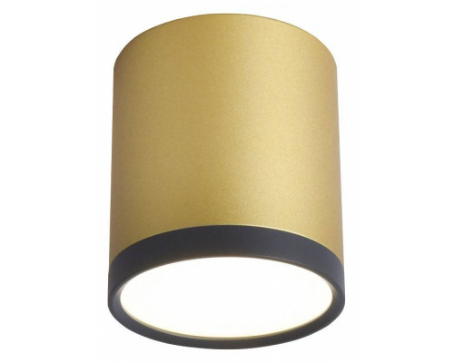 Накладной светильник Favourite Baral 3082-1C