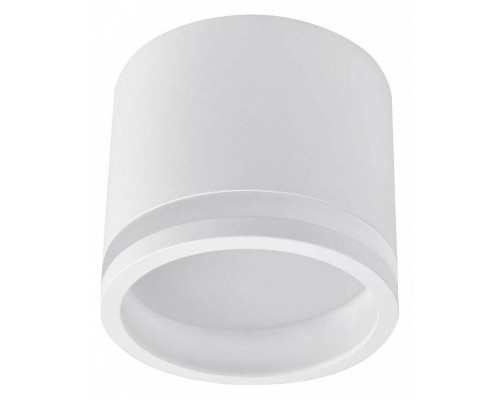 Накладной светильник Favourite Festum 4213-1C