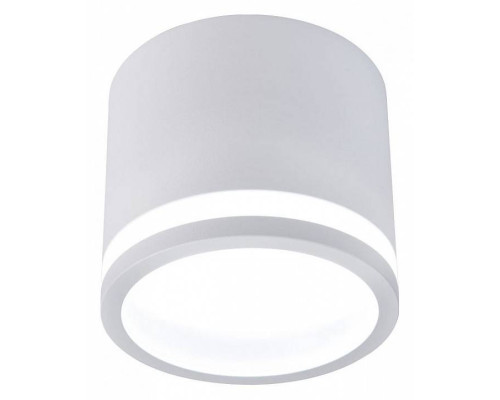 Накладной светильник Favourite Festum 4213-1C