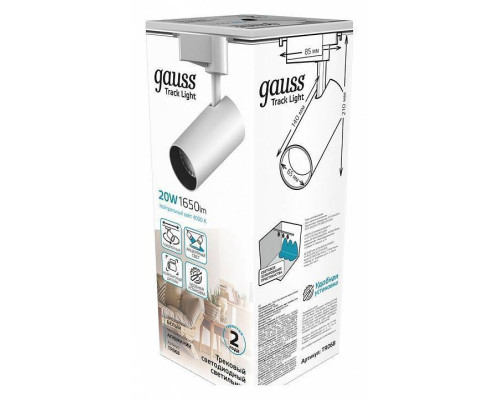 Светильник на штанге Gauss TR TR068