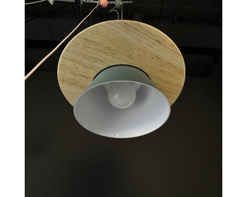 Подвесной светильник Imperiumloft Eco ECO1