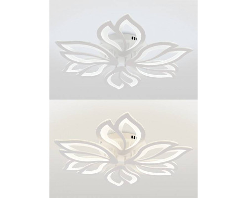 Потолочная люстра Natali Kovaltseva FORTUNA LED LAMPS 81107/6C