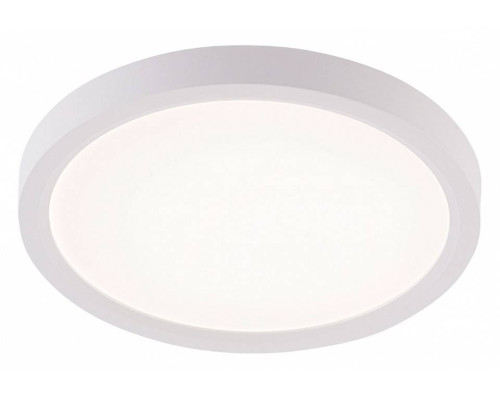 Накладной светильник Natali Kovaltseva PLAIN LED LAMPS 81113/1C