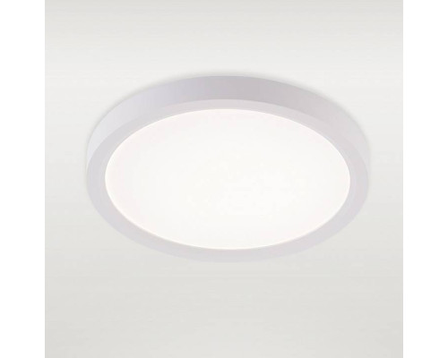 Накладной светильник Natali Kovaltseva PLAIN LED LAMPS 81113/1C