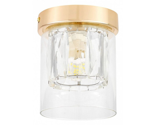 Накладной светильник Lampit DENI TC 2020-1 FGD