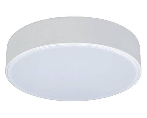 Накладной светильник Loft it Axel 1 10002/12 White