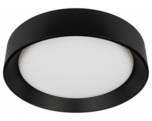 Накладной светильник Loft it Coin 10202 BB