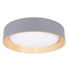 Накладной светильник Loft it Coin 10202 Grey