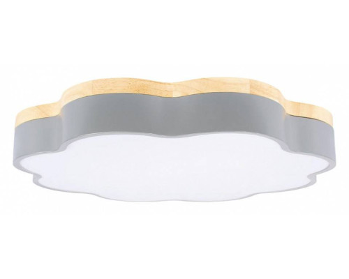 Накладной светильник Loft it Axel 10225/36 Grey