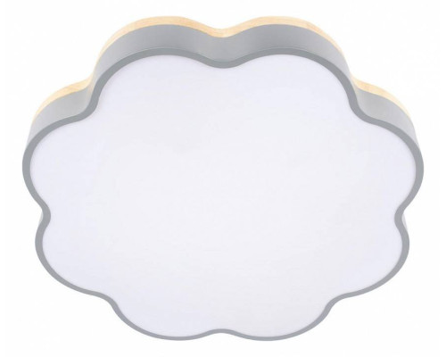 Накладной светильник Loft it Axel 10225/36 Grey