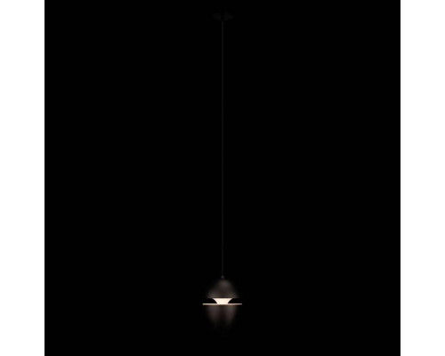 Подвесной светильник Loft it Viterbo 10336 Black