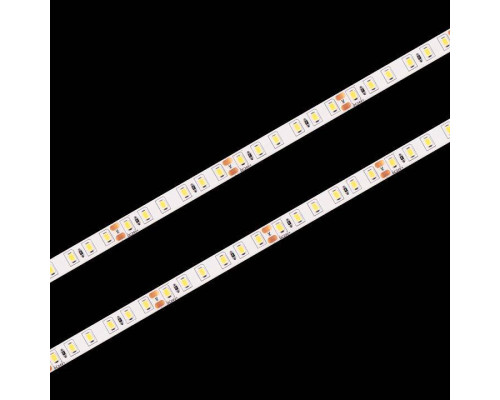 Лента светодиодная Loft it Strip 10363/12065 WW