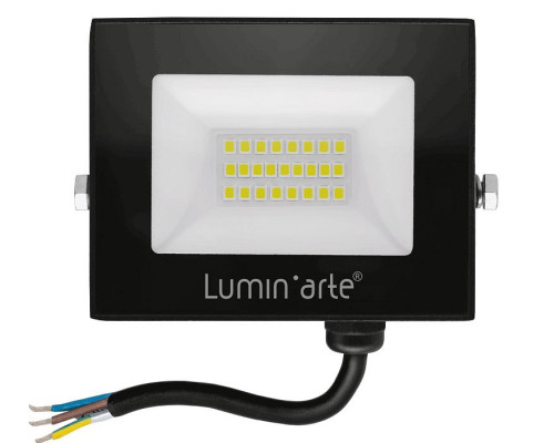Настенно-потолочный прожектор Luminarte LFL-20W LFL-20W/06