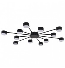 Потолочная люстра Lumion TORINA 8344/12C