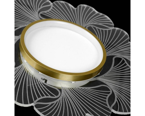 Накладной светильник Lussole Benton LSP-7340