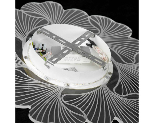 Накладной светильник Lussole Benton LSP-7340