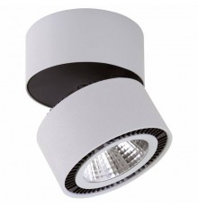 Накладной светильник Lightstar Forte Muro LED 214830