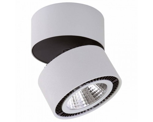 Накладной светильник Lightstar Forte Muro LED 214830