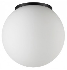 Накладной светильник Odeon Light NATURE 7124/1C