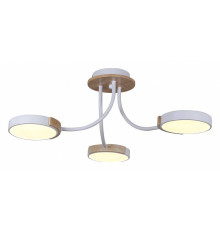 Потолочная люстра Reluce 13202 13202-0.3-03