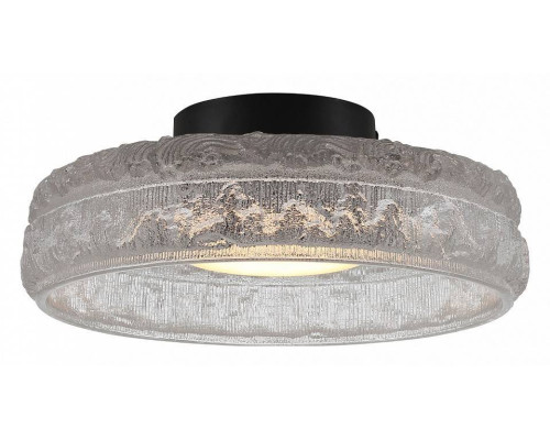 Накладной светильник ST-Luce ANTIKE SL6143.402.01