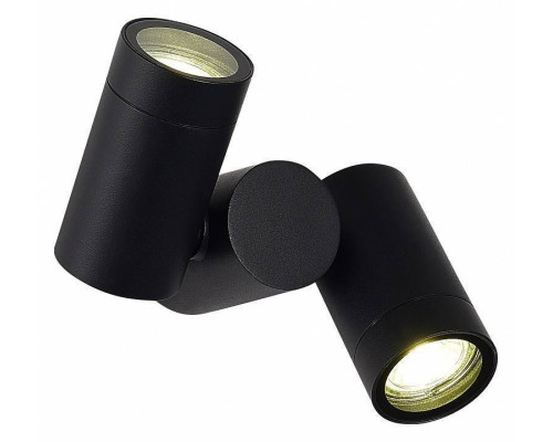 Светильник на штанге ST-Luce Ecollo SL9011.402.02