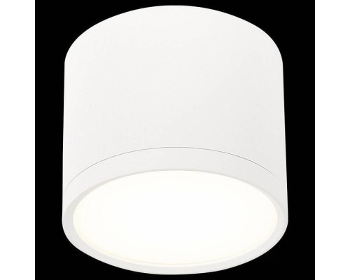 Накладной светильник ST-Luce Rene ST113.542.09