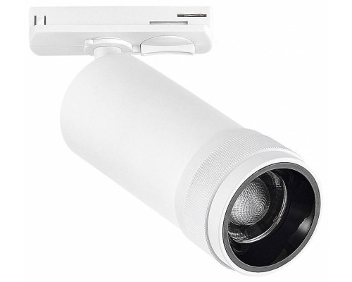 Светильник на штанге ST-Luce BASE ST385.546.20