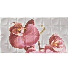 Dec. Orchid C Blanco BLN Декор 31,6x59,34