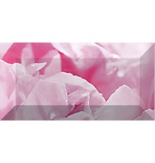 Peony Бордюр рельефный br1020D281-2 20х10