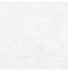 Flagman Керамогранит светло-серый K952736R0001LPET 60x60