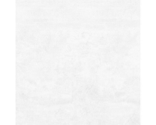 Flagman Керамогранит светло-серый K952736R0001LPET 60x60