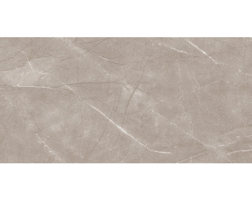 Savoy Плитка настенная коричневый 08-01-15-2460 20х40