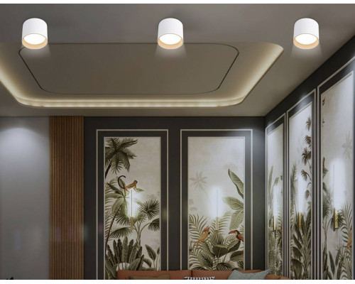 Накладной светильник Ambrella Light TN TN5304