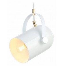 Подвесной светильник Ambrella Light TR TR8205