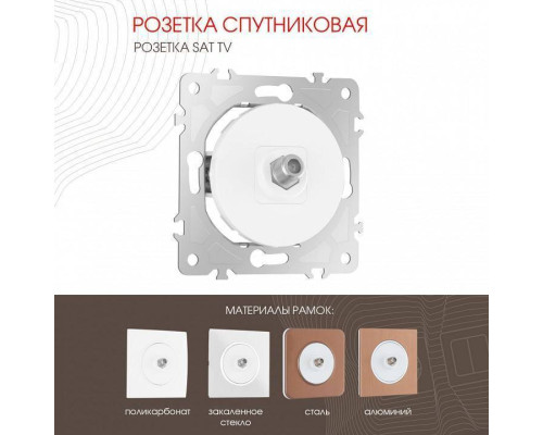 ТВ-розетка без рамки Arte Milano am-202 202.42-1.white