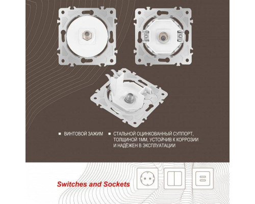 ТВ-розетка без рамки Arte Milano am-202 202.42-1.white