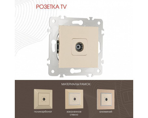 ТВ-розетка без рамки Arte Milano am-203 203.43-1.shampan