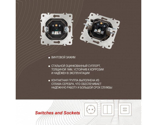 ТВ-розетка без рамки Arte Milano am-203 203.43-1.shampan