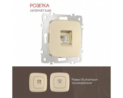 Розетка Ethernet RJ-45 без рамки Arte Milano am-205 205.45-1.shampan