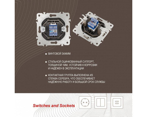 Розетка Ethernet RJ-45 без рамки Arte Milano am-205 205.45-1.shampan