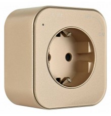 Розетка с заземлением на треке Arte Milano Am-track-sockets 380022TS/ES Gold