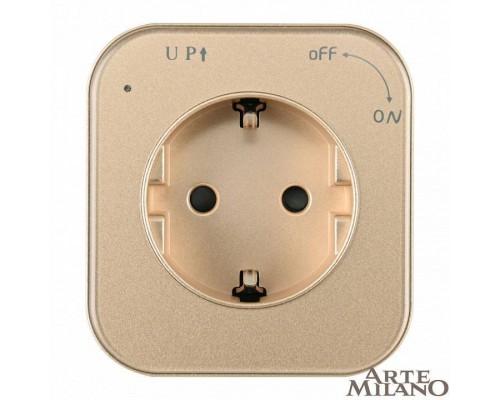 Розетка с заземлением на треке Arte Milano Am-track-sockets 380022TS/ES Gold