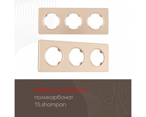 Рамка на 3 поста Arte Milano am-502.15 502.15-3.shampan