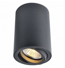 Накладной светильник Arte Lamp Sentry A1560PL-1BK