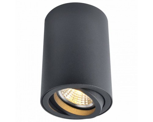 Накладной светильник Arte Lamp Sentry A1560PL-1BK